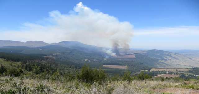 smoke ascends over landscape